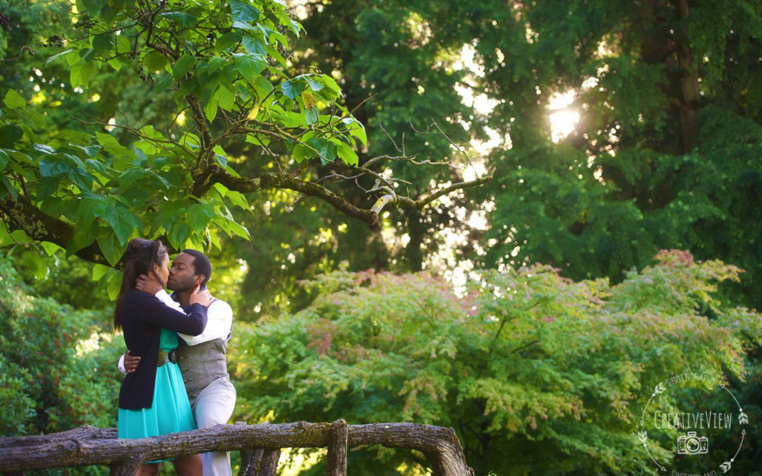 Nouvelle photo de mariage – CreativeView News